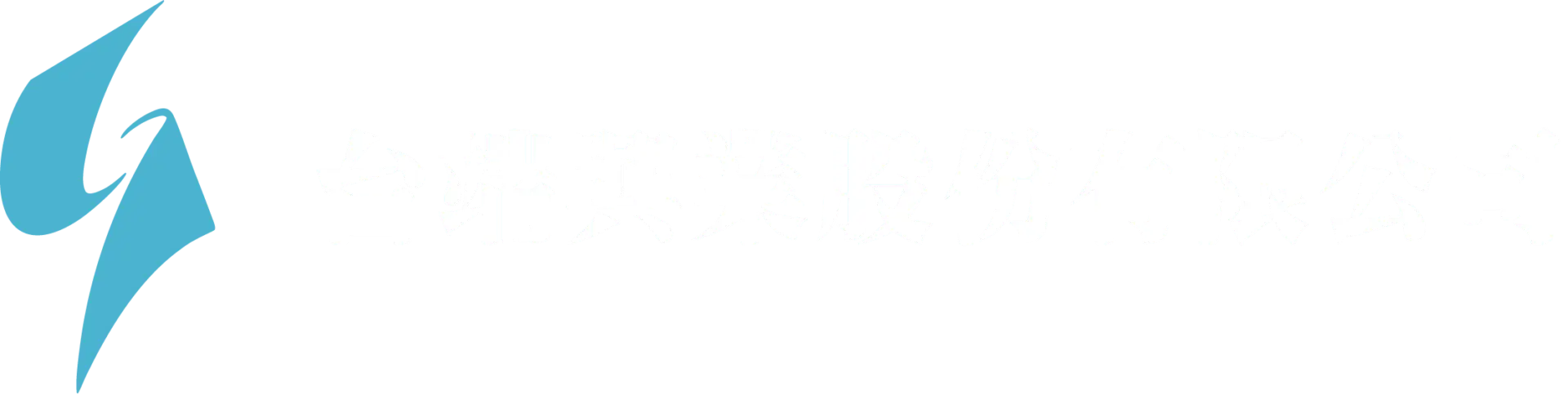Taitwun zh v2 word white 2228x560